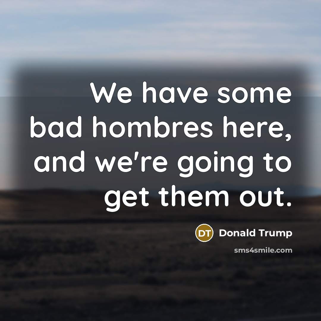 “We have some bad hombres here, and we're going to get them out.” quote by Donald Trump