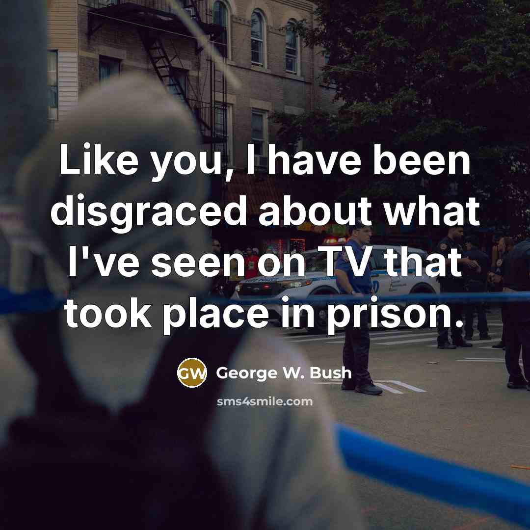 “Like you, I have been disgraced about what I've seen…” quote by George W. Bush