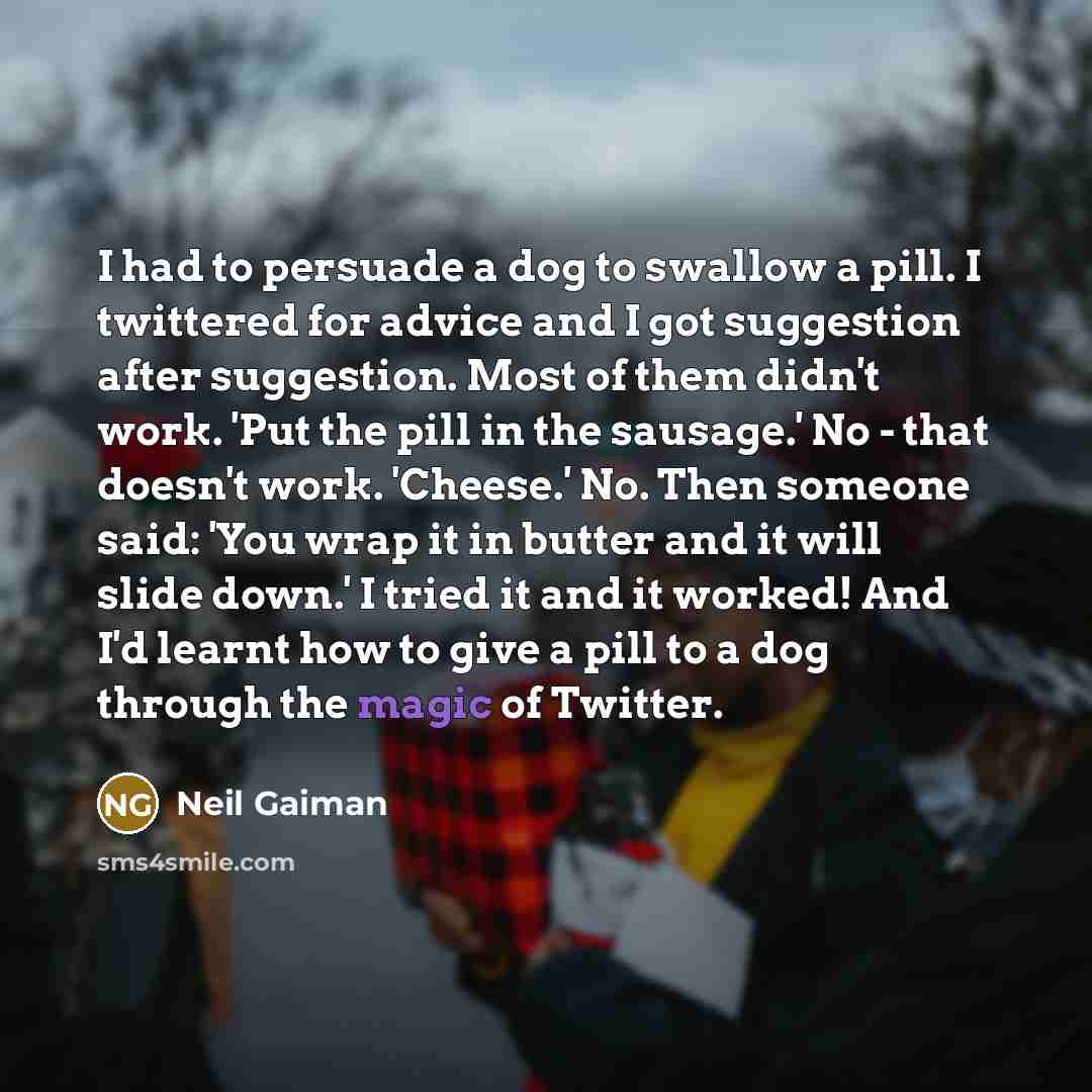 “I had to persuade a dog to swallow a pill.…” quote by Neil Gaiman