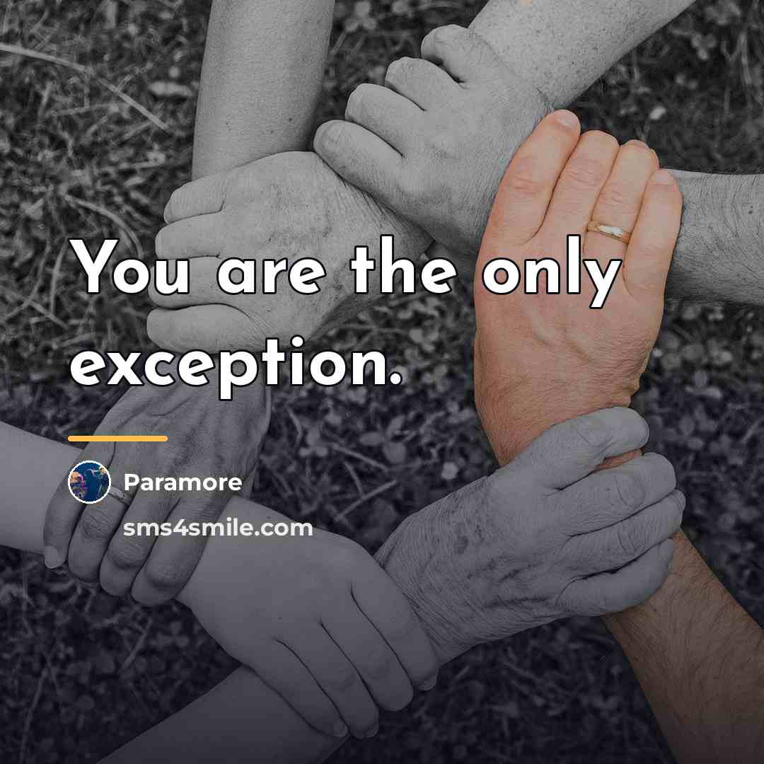 “You are the only exception.…” quote by Paramore