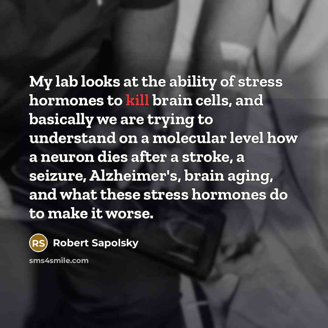 “My lab looks at the ability of stress hormones to…” quote by Robert Sapolsky