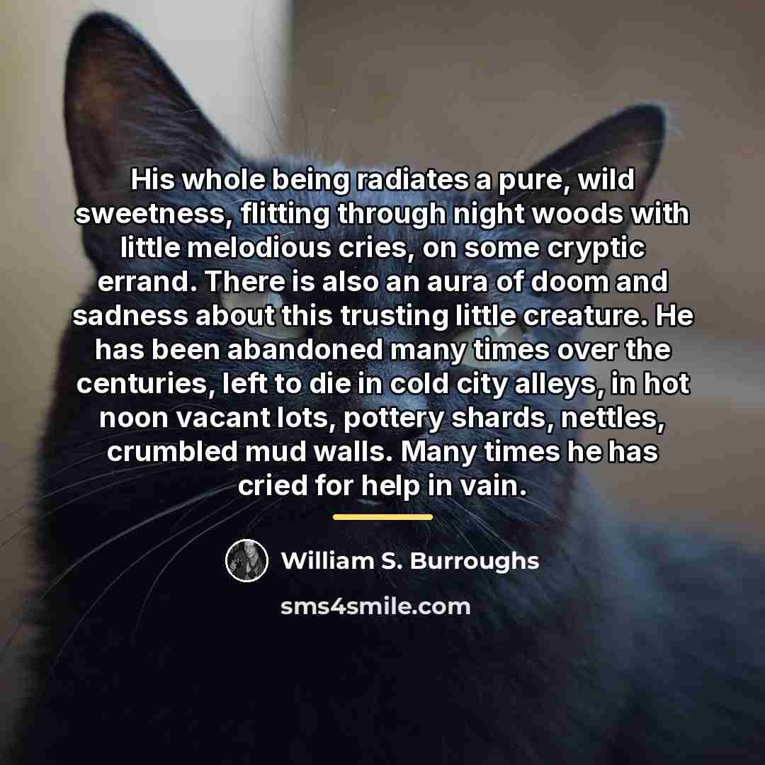 “His whole being radiates a pure, wild sweetness, flitting through…” quote by William S. Burroughs