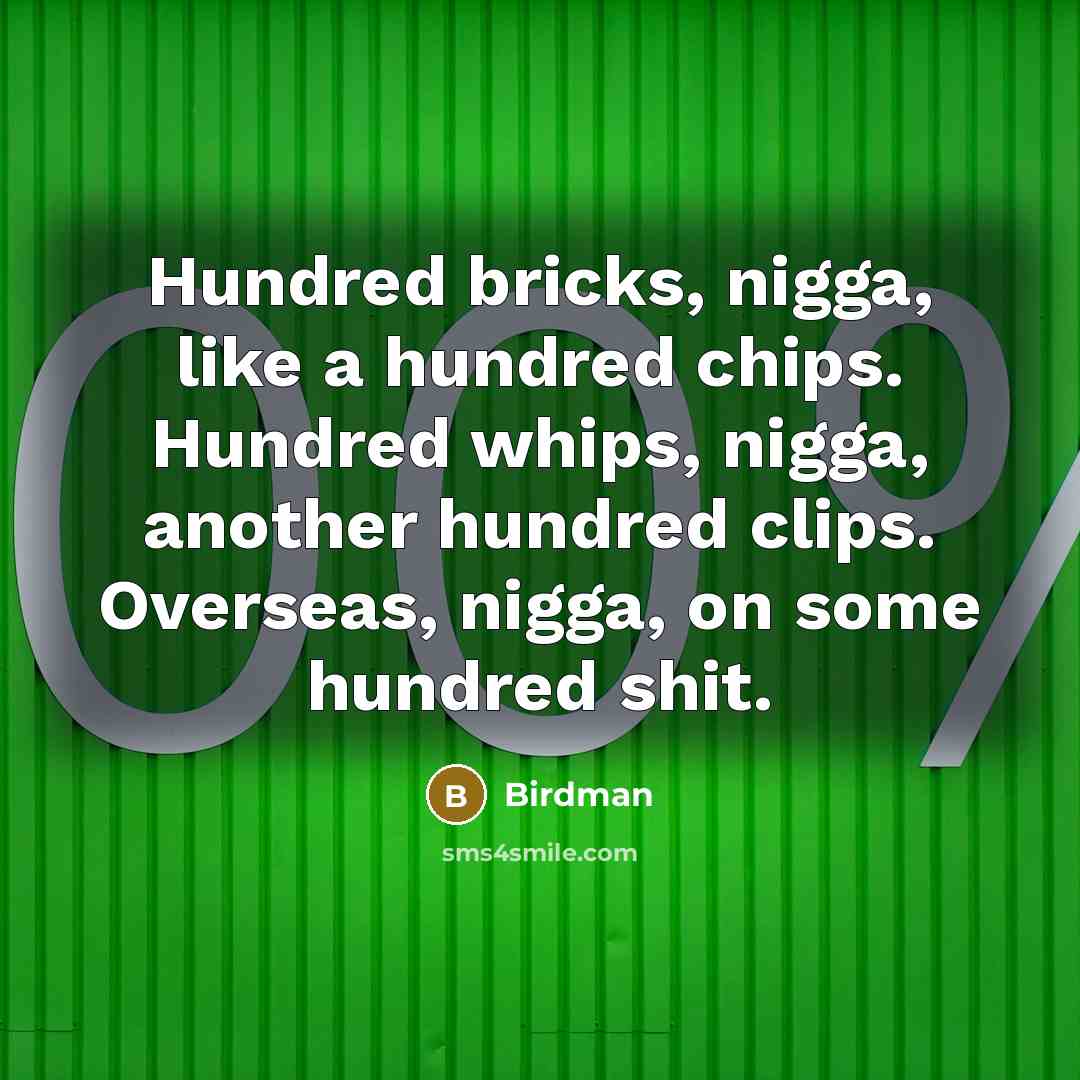 “Hundred bricks, nigga, like a hundred chips. Hundred whips, nigga, another hundred clips. Overseas, nigga, on some hundred shit.” quote by Birdman