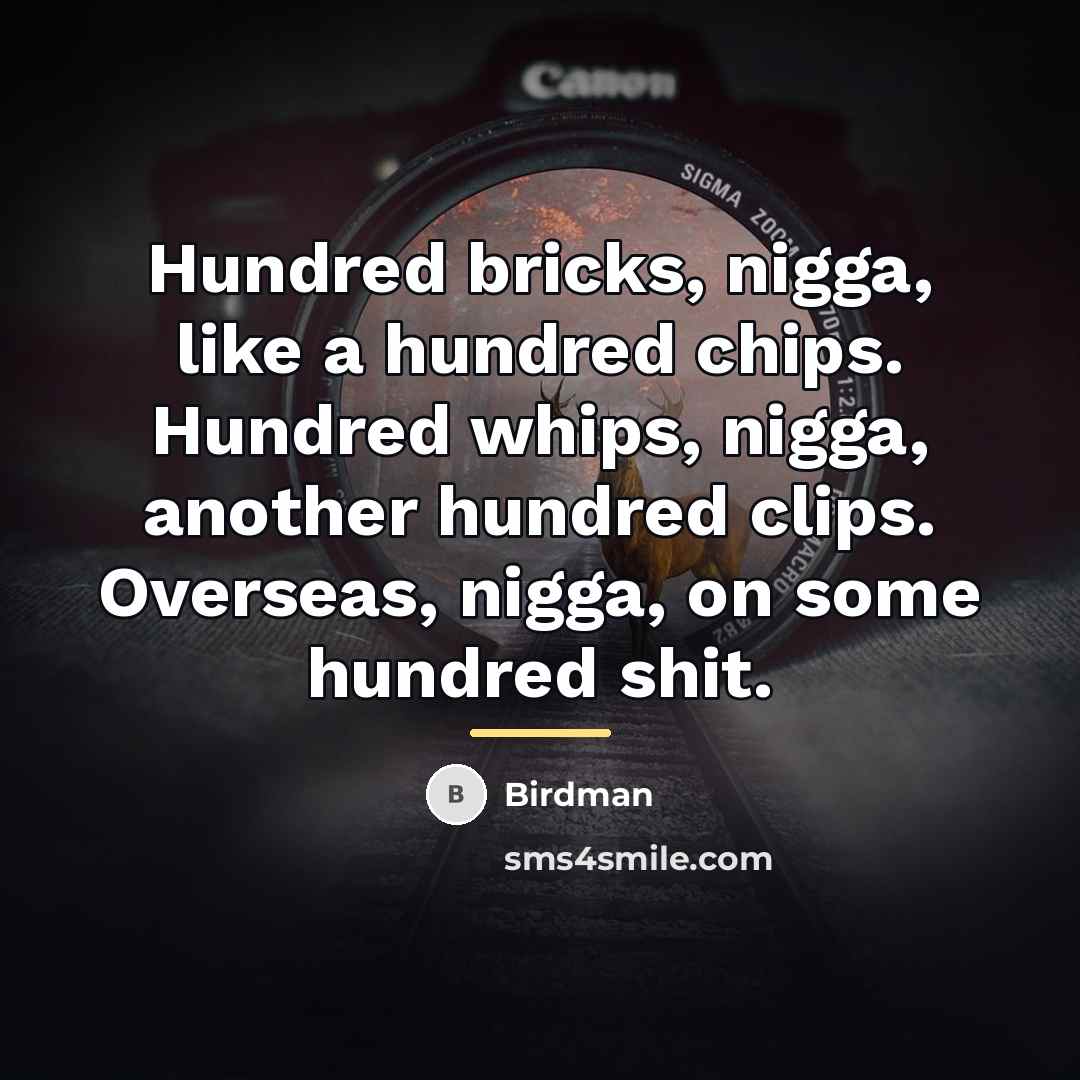 “Hundred bricks, nigga, like a hundred chips. Hundred whips, nigga,…” quote by Birdman