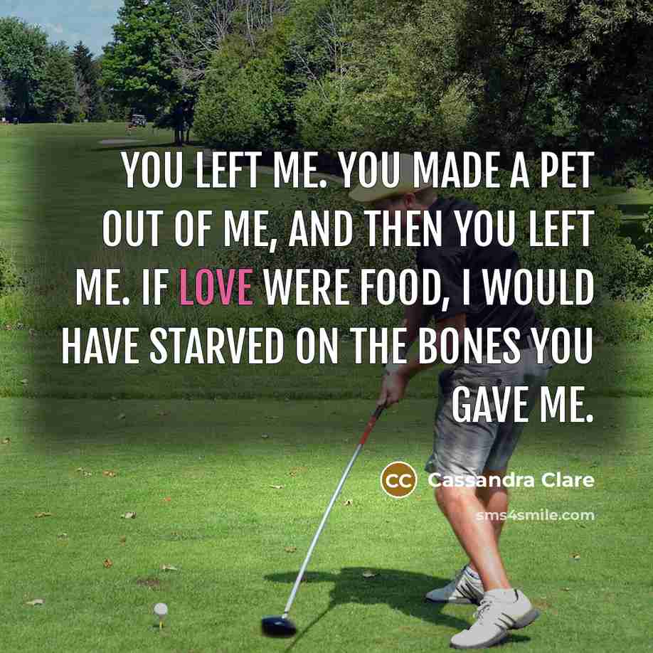 “You left me. You made a pet out of me,…” quote by Cassandra Clare