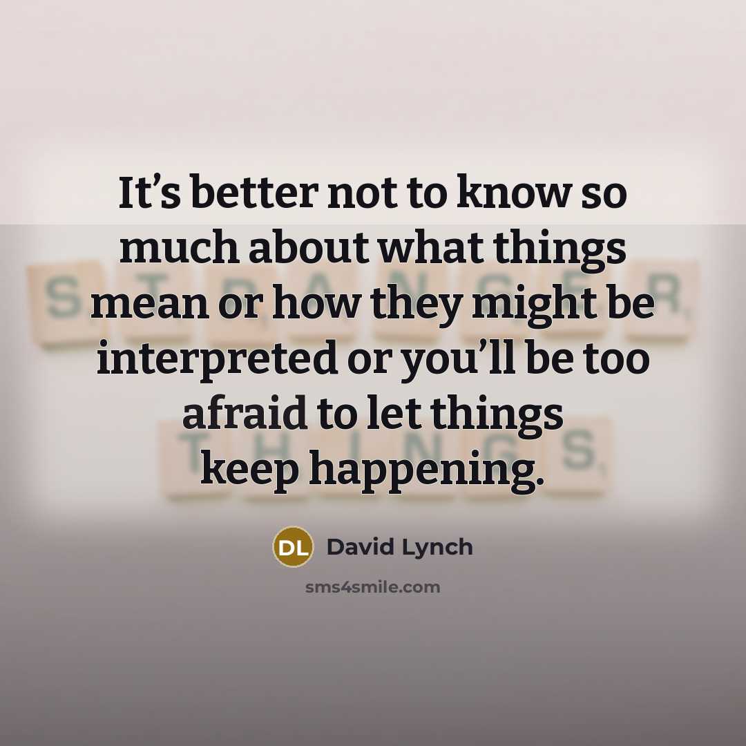 “It’s better not to know so much about what things…” quote by David Lynch