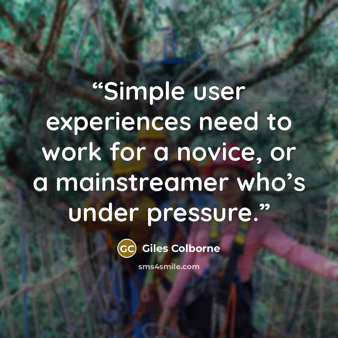 “Simple user experiences need to work for a novice, or a mainstreamer who’s under pressure.” quote by Giles Colborne