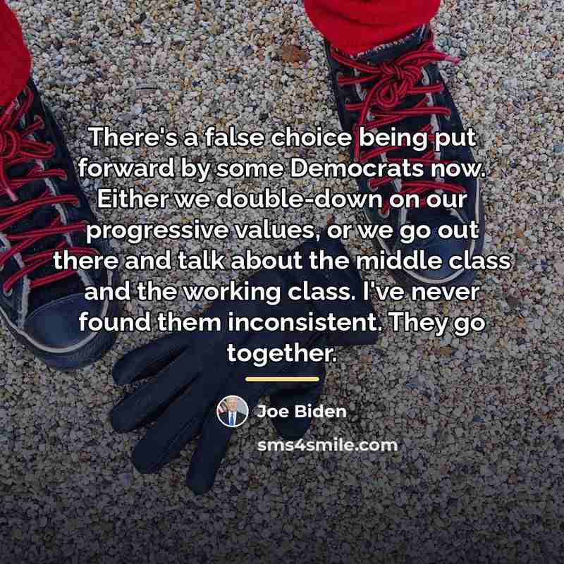“There's a false choice being put forward by some Democrats…” quote by Joe Biden