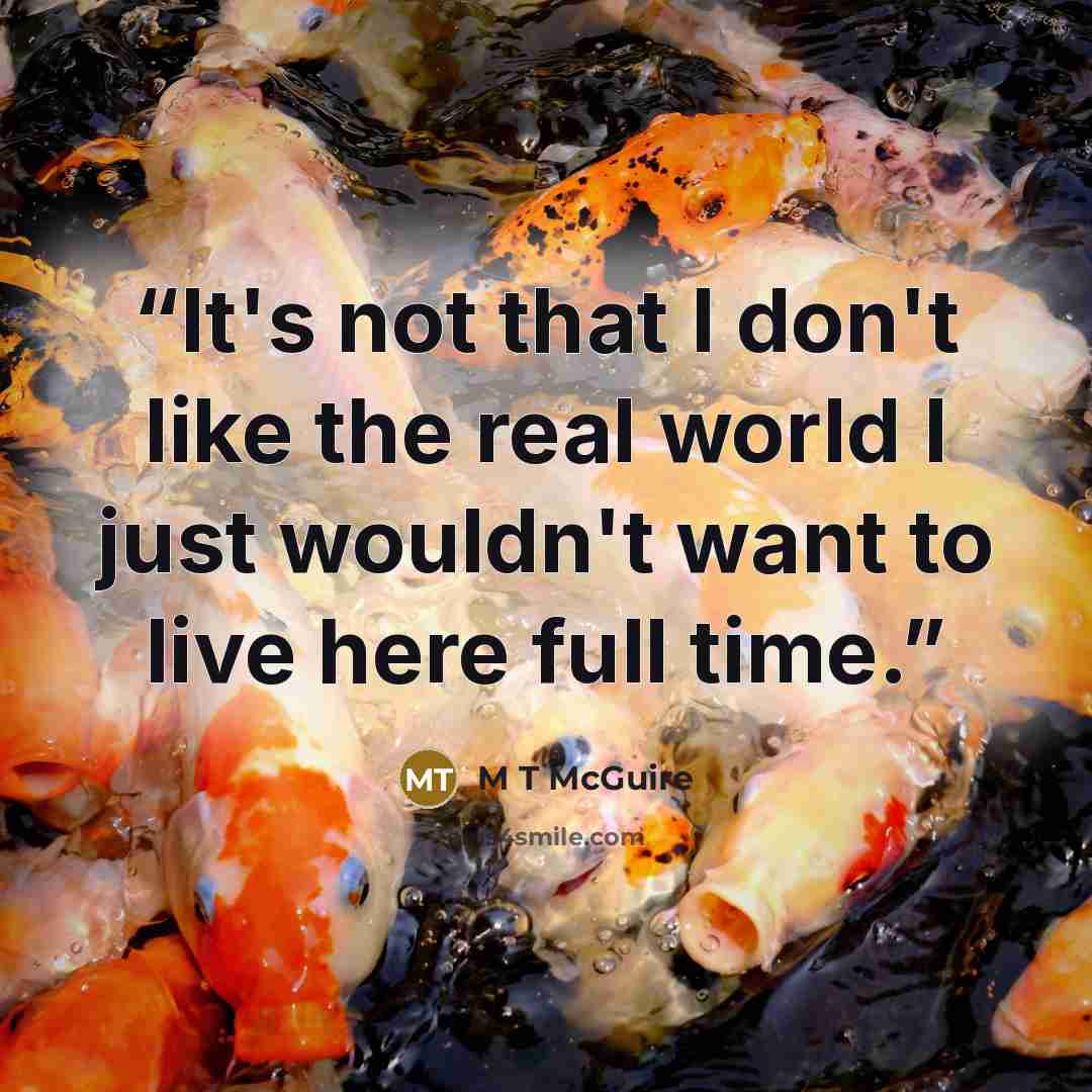 “It's not that I don't like the real world I just wouldn't want to live here full time.” quote by M T McGuire