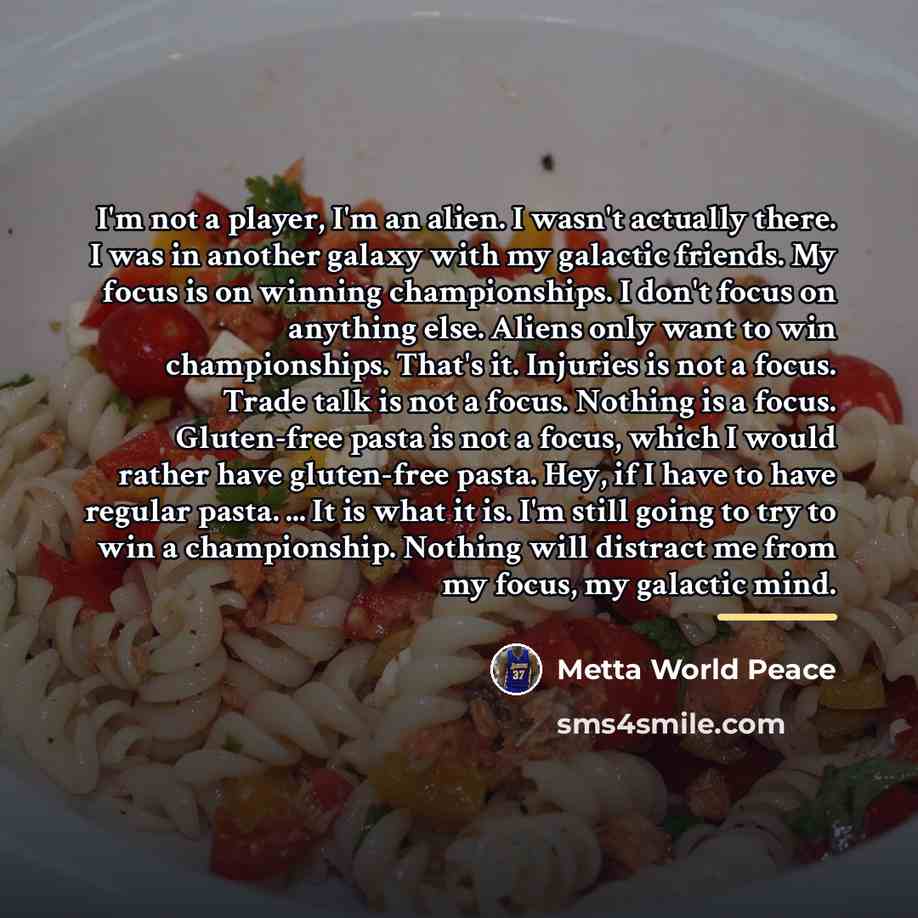 “I'm not a player, I'm an alien. I wasn't actually…” quote by Metta World Peace