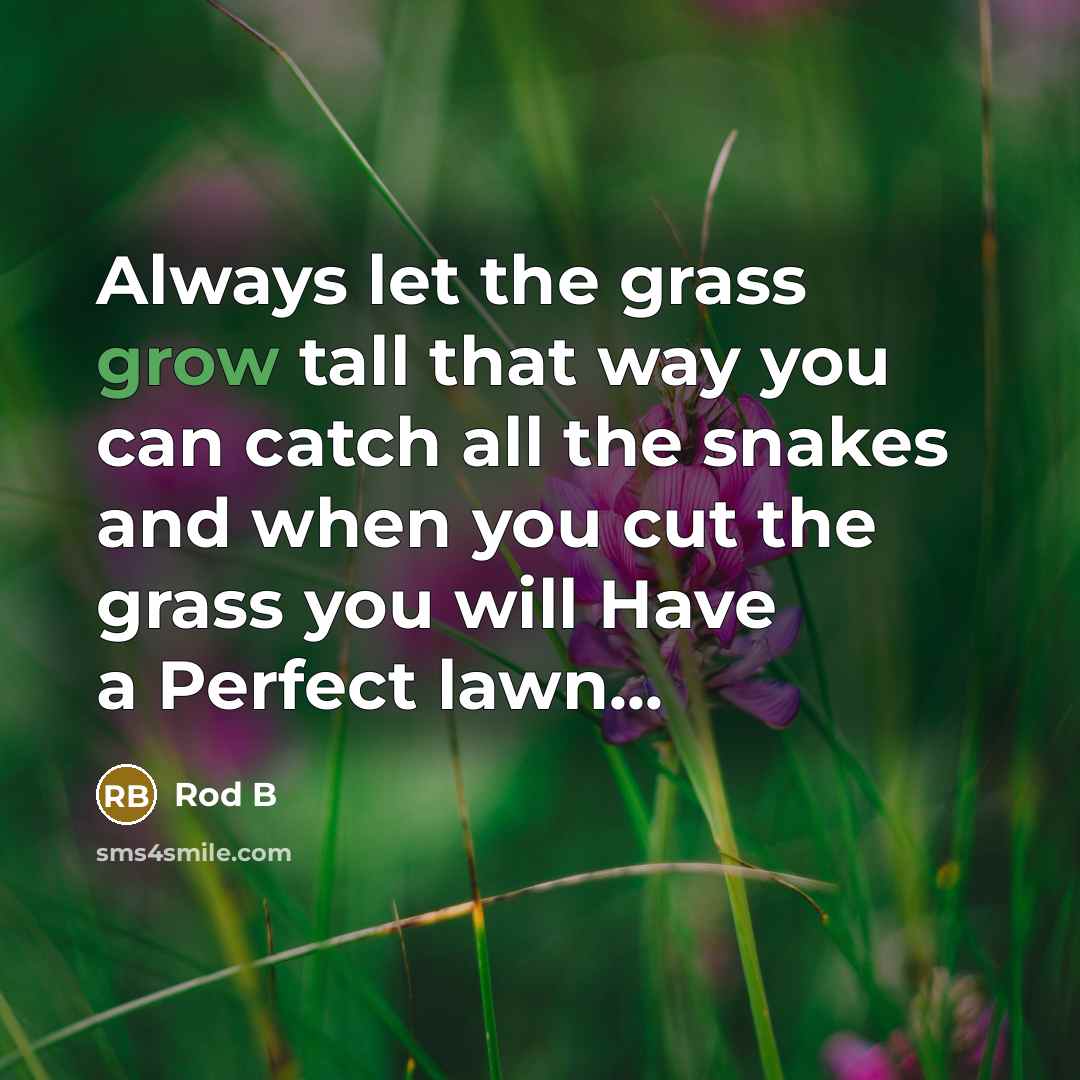 “Always let the grass grow tall that way you can…” quote by Rod B