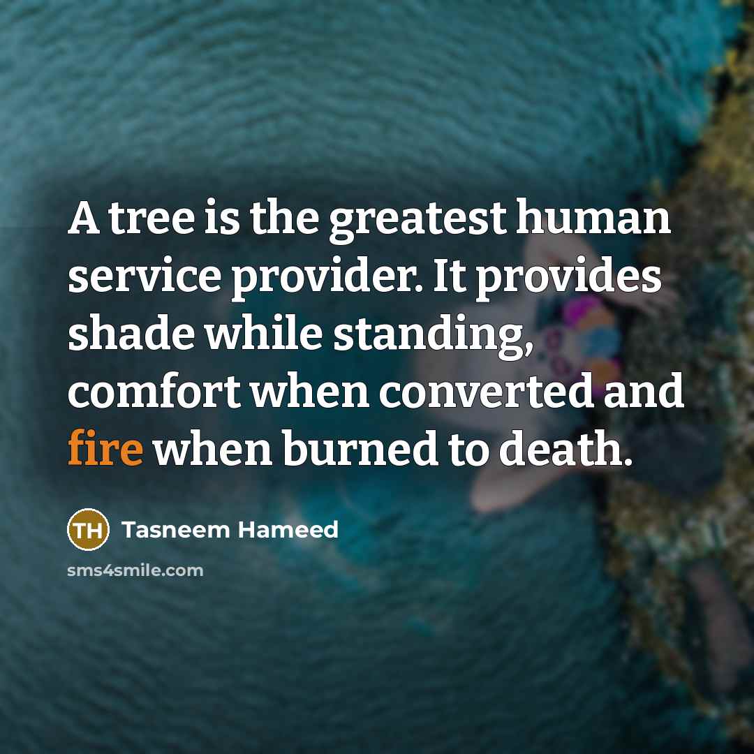 “A tree is the greatest human service provider. It provides…” quote by Tasneem Hameed