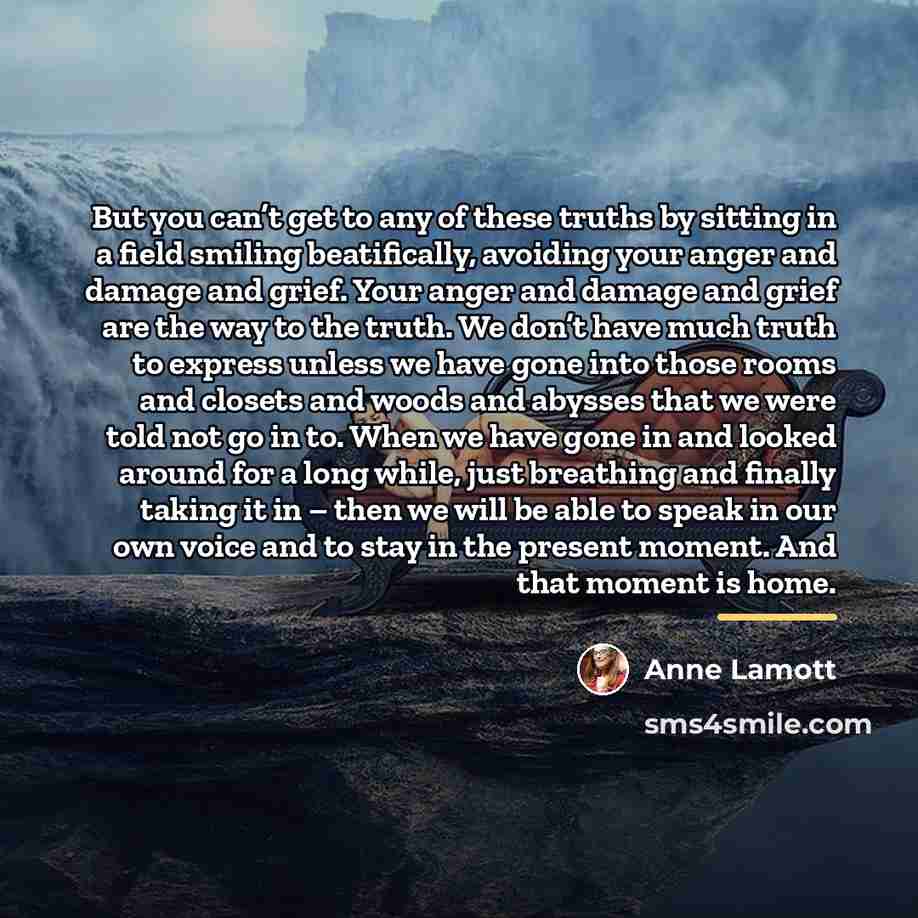 “But you can’t get to any of these truths by…” quote by Anne Lamott