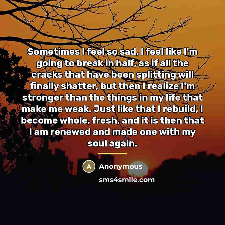 “Sometimes I feel so sad, I feel like I'm going…” quote by Anonymous