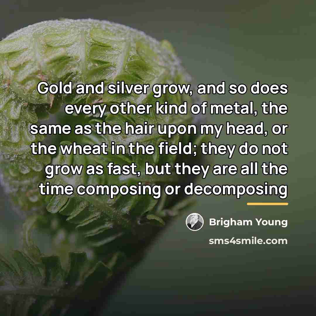 “Gold and silver grow, and so does every other kind…” quote by Brigham Young