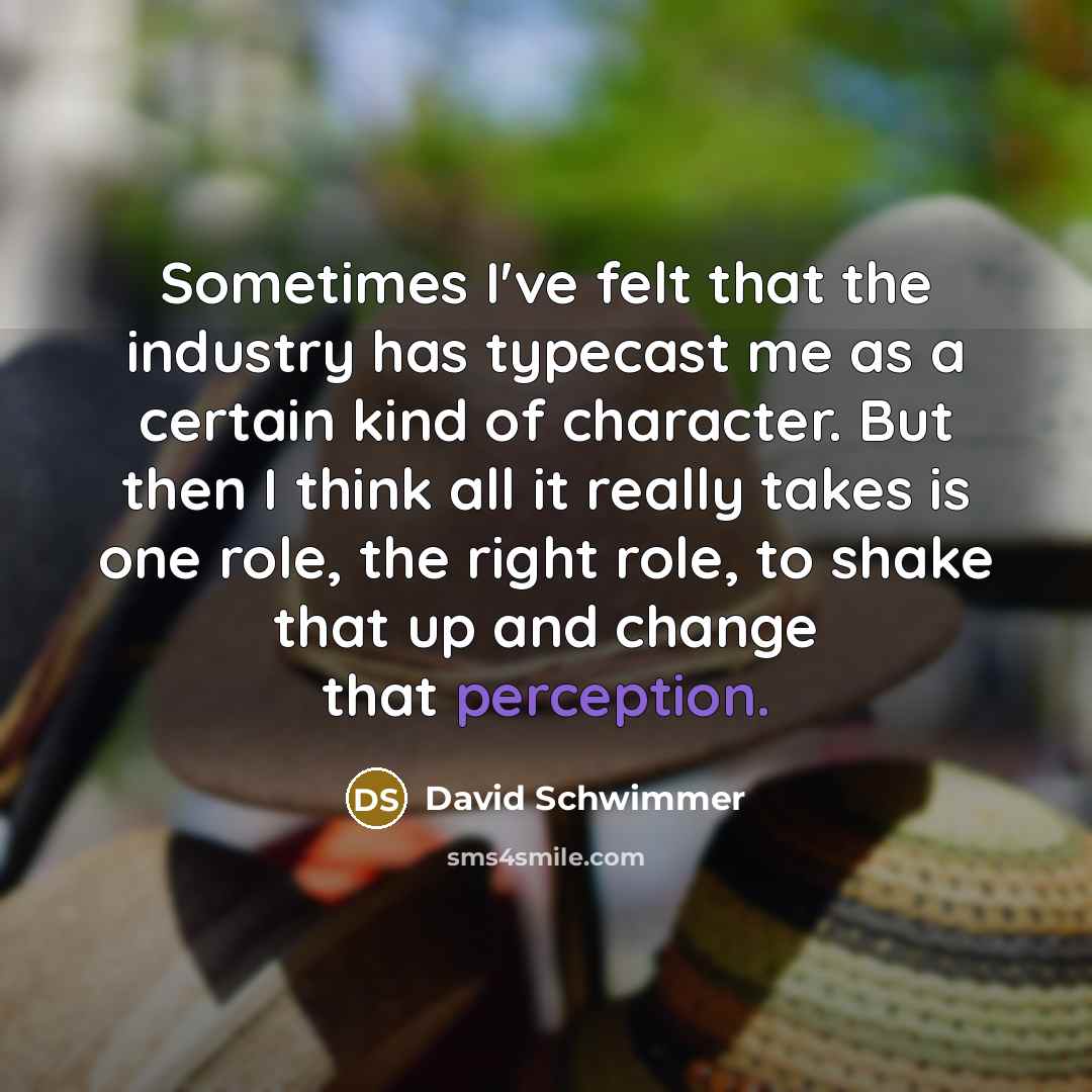 “Sometimes I've felt that the industry has typecast me as…” quote by David Schwimmer