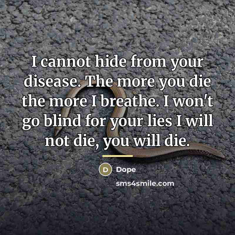 “I cannot hide from your disease. The more you die…” quote by Dope