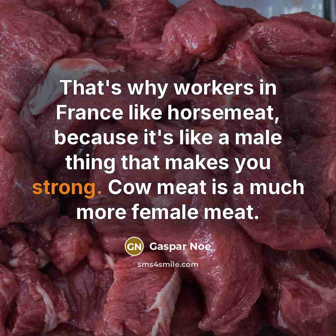 “That's why workers in France like horsemeat, because it's like…” quote by Gaspar Noe