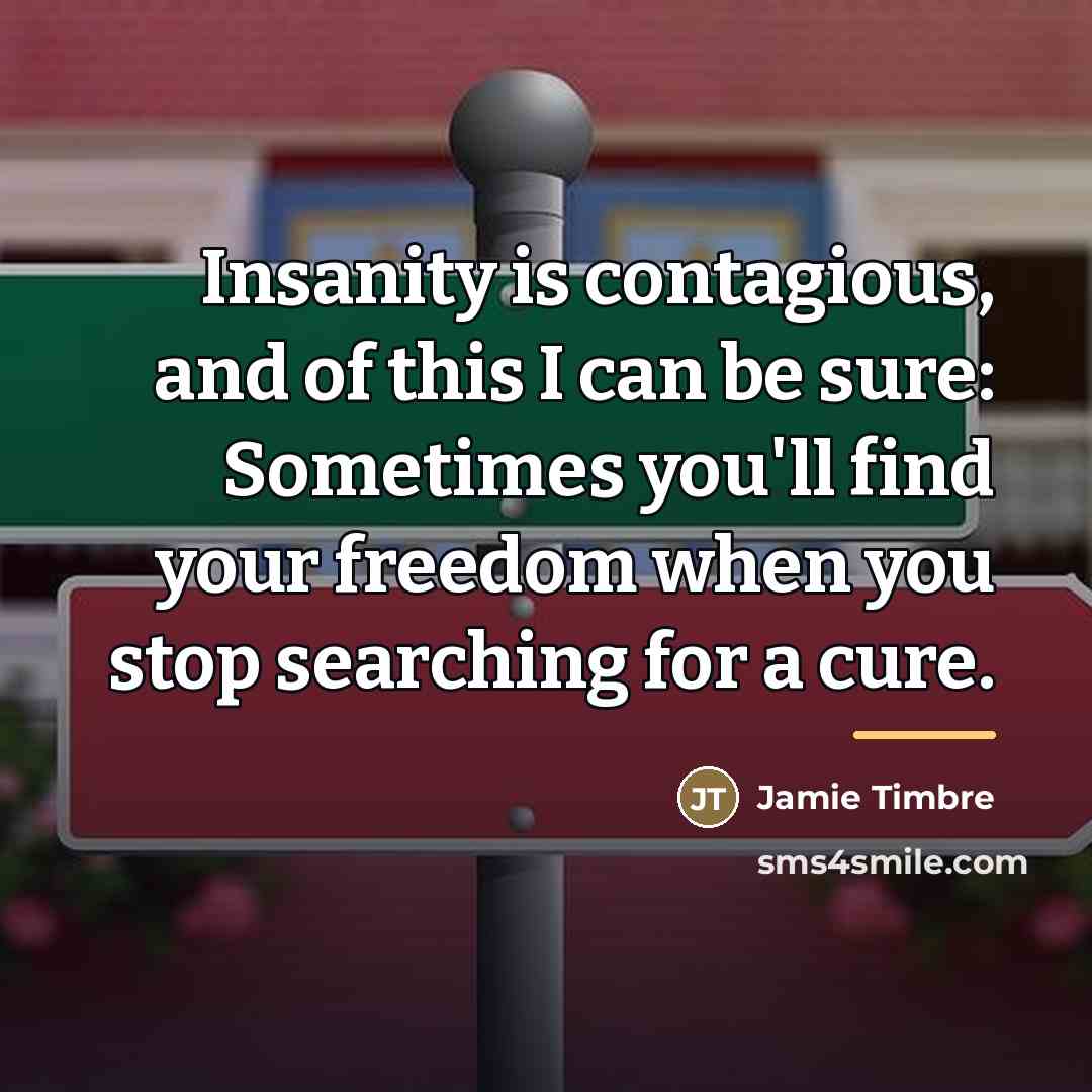 “Insanity is contagious, and of this I can be sure:…” quote by Jamie Timbre