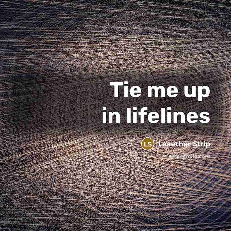 “Tie me up in lifelines” quote by Leaether Strip