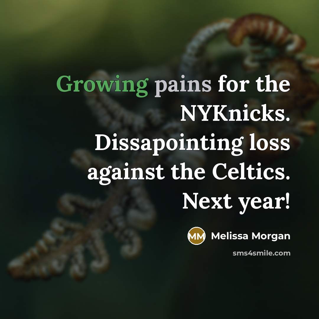 “Growing pains for the NYKnicks. Dissapointing loss against the Celtics. Next year!” quote by Melissa Morgan