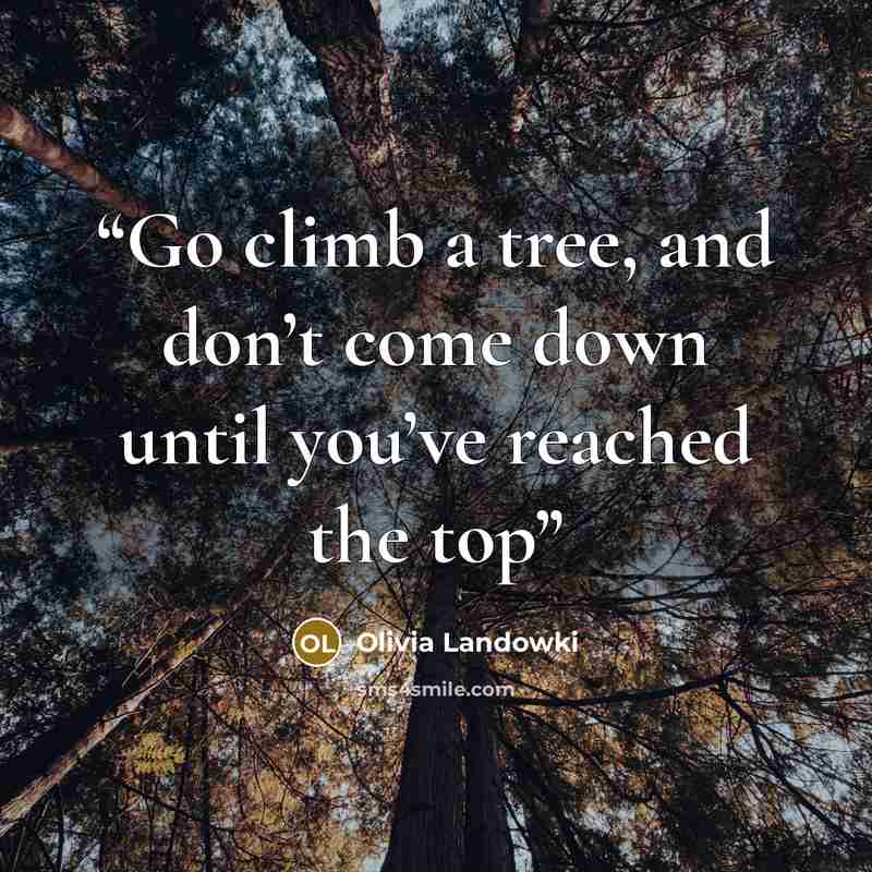 “Go climb a tree, and don’t come down until you’ve reached the top” quote by Olivia Landowki