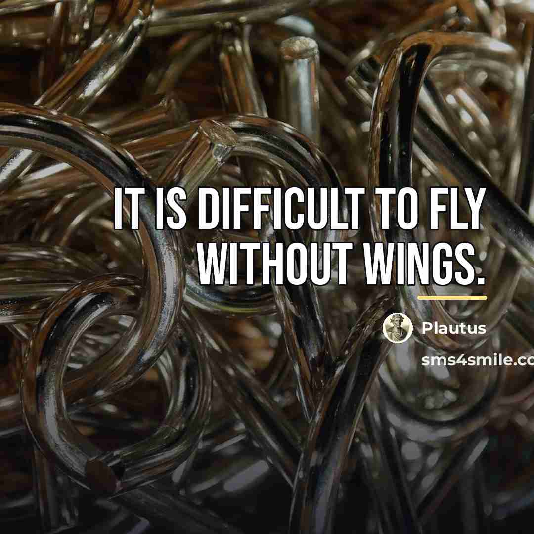 “It is difficult to fly without wings.…” quote by Plautus
