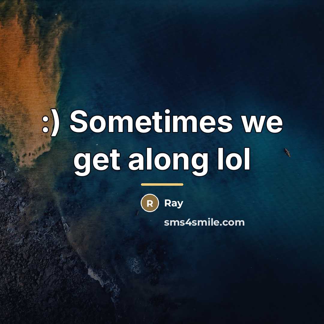 “:) Sometimes we get along lol…” quote by Ray
