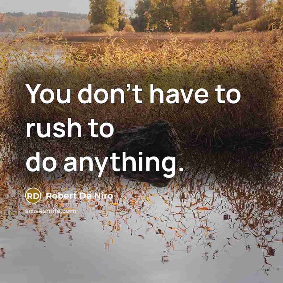 “You don't have to rush to do anything.…” quote by Robert De Niro