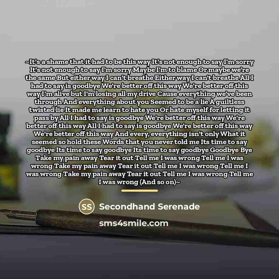 “~It's a shame that it had to be this way…” quote by Secondhand Serenade
