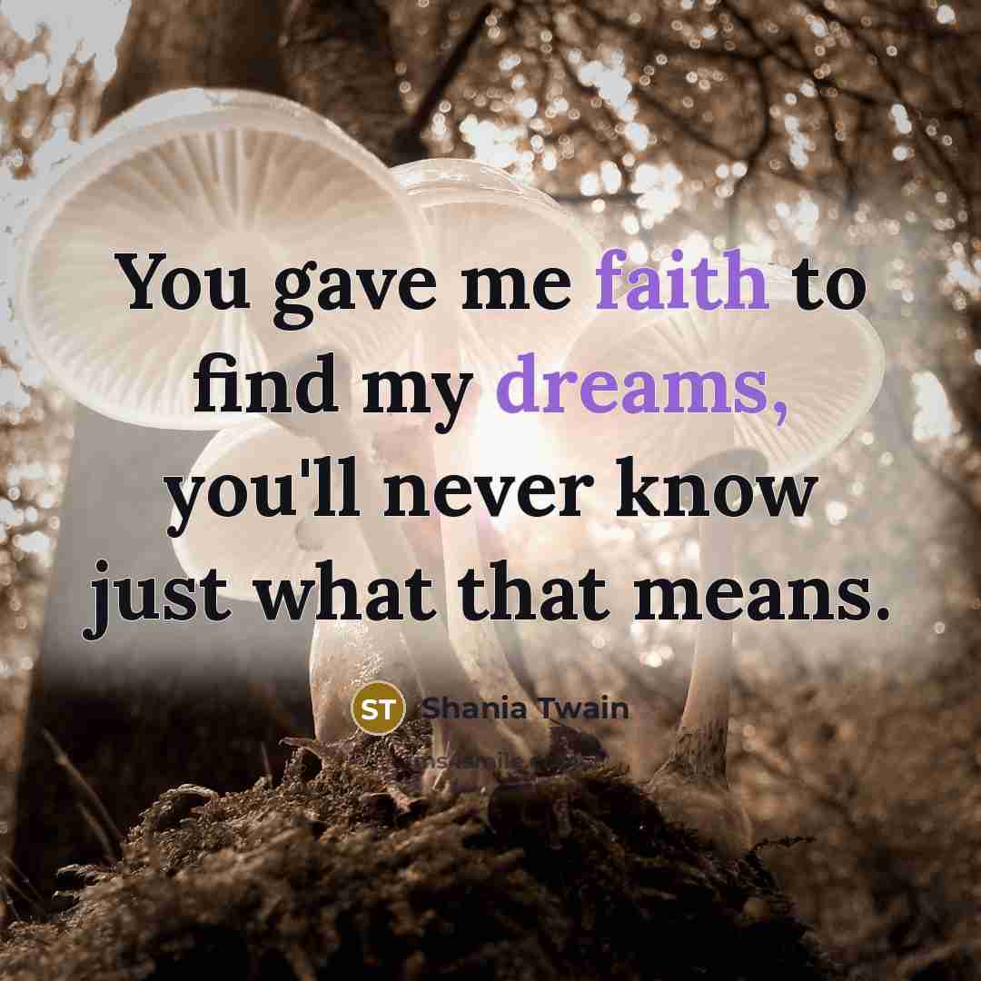 “You gave me faith to find my dreams, you'll never…” quote by Shania Twain