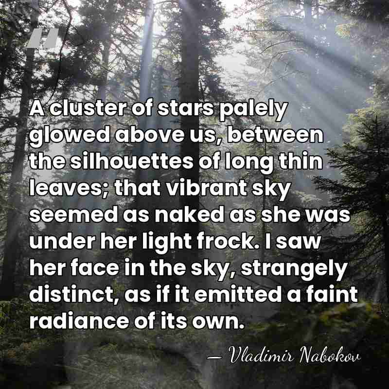 A cluster of stars palely glowed above us, between the silhouettes of&hellip; - Vladimir Nabokov