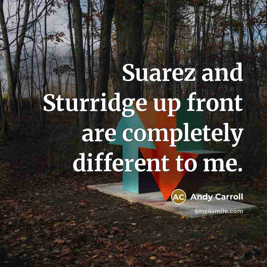 “Suarez and Sturridge up front are completely different to me.” quote by Andy Carroll