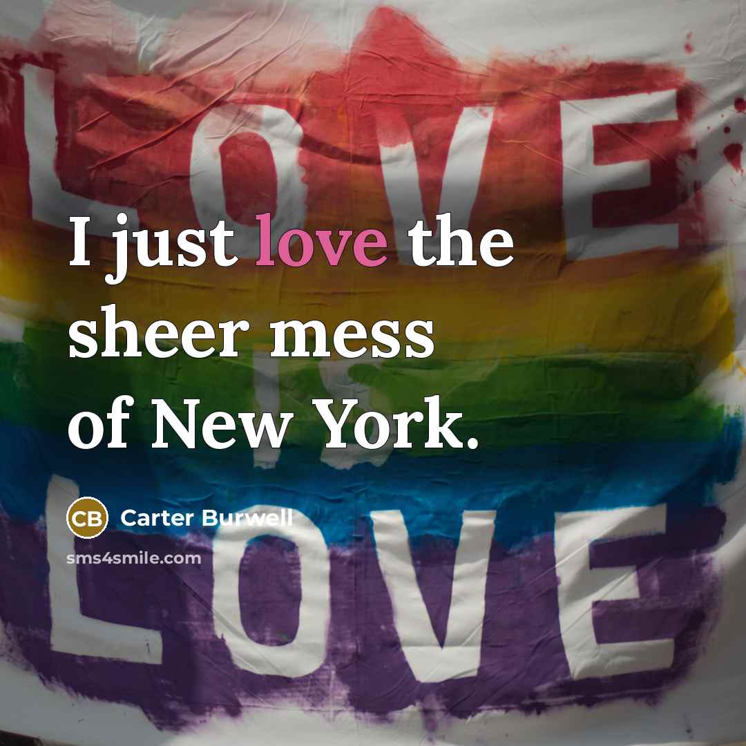 “I just love the sheer mess of New York.…” quote by Carter Burwell