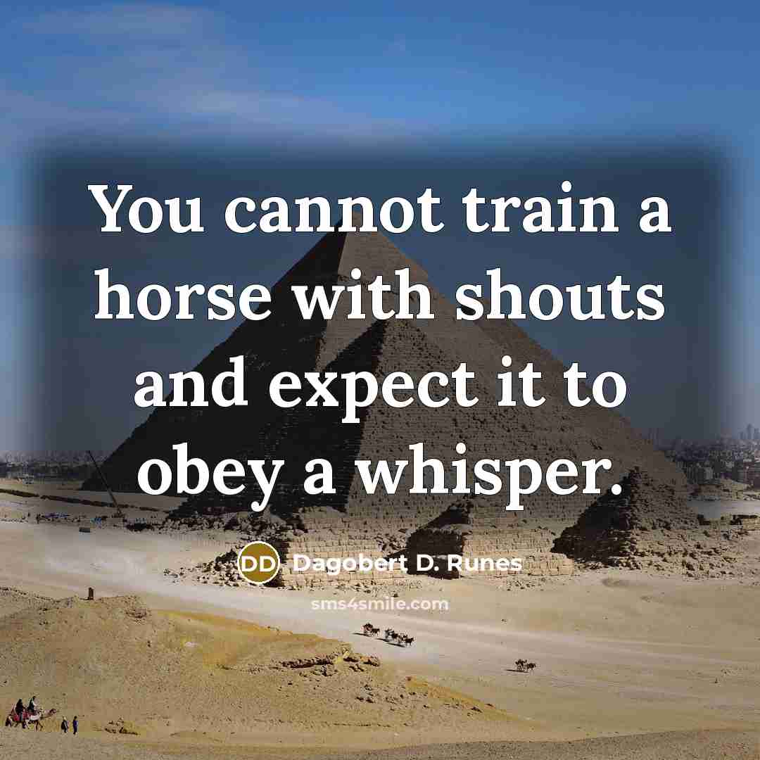 “You cannot train a horse with shouts and expect it…” quote by Dagobert D. Runes