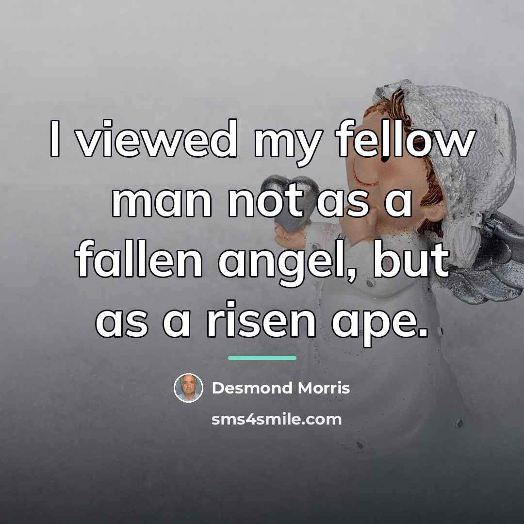 “I viewed my fellow man not as a fallen angel,…” quote by Desmond Morris