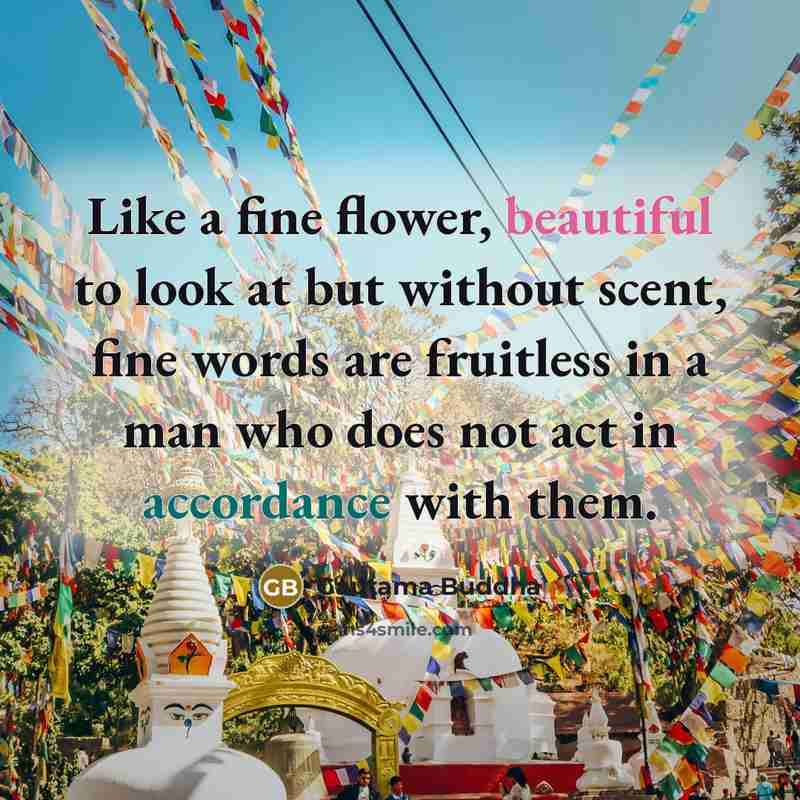 “Like a fine flower, beautiful to look at but without…” quote by Gautama Buddha