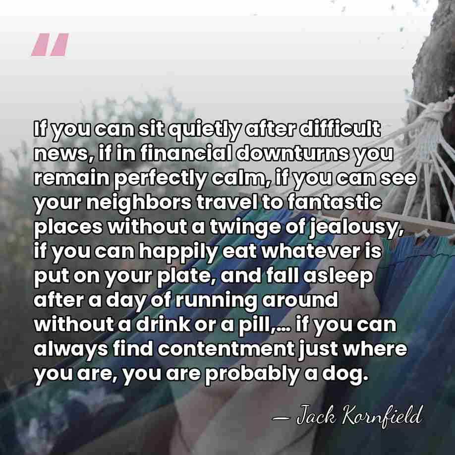 If you can sit quietly after difficult news, if in financial downturns&hellip; - Jack Kornfield