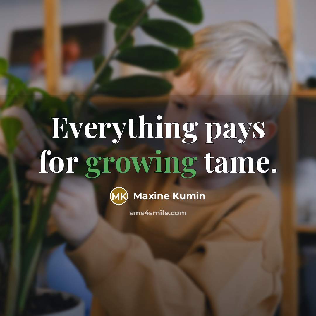 “Everything pays for growing tame.…” quote by Maxine Kumin