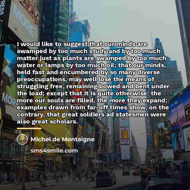 “I would like to suggest that our minds are swamped…” quote by Michel de Montaigne