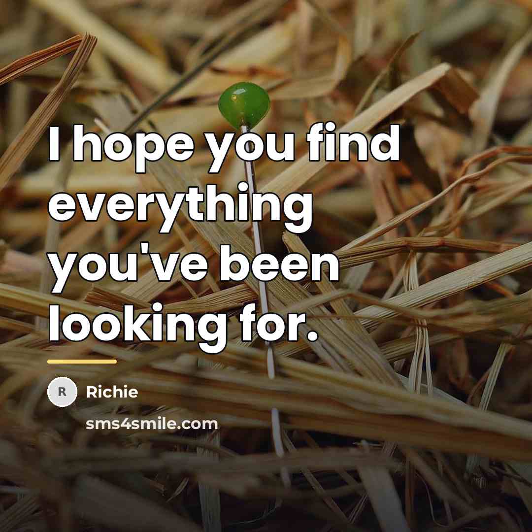 “I hope you find everything you've been looking for.…” quote by Richie