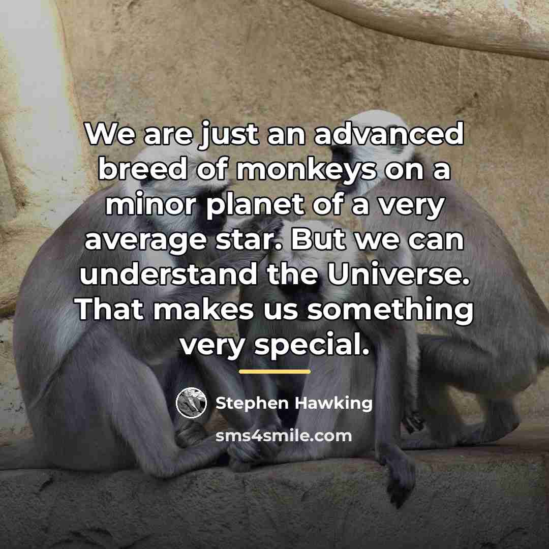 “We are just an advanced breed of monkeys on a…” quote by Stephen Hawking