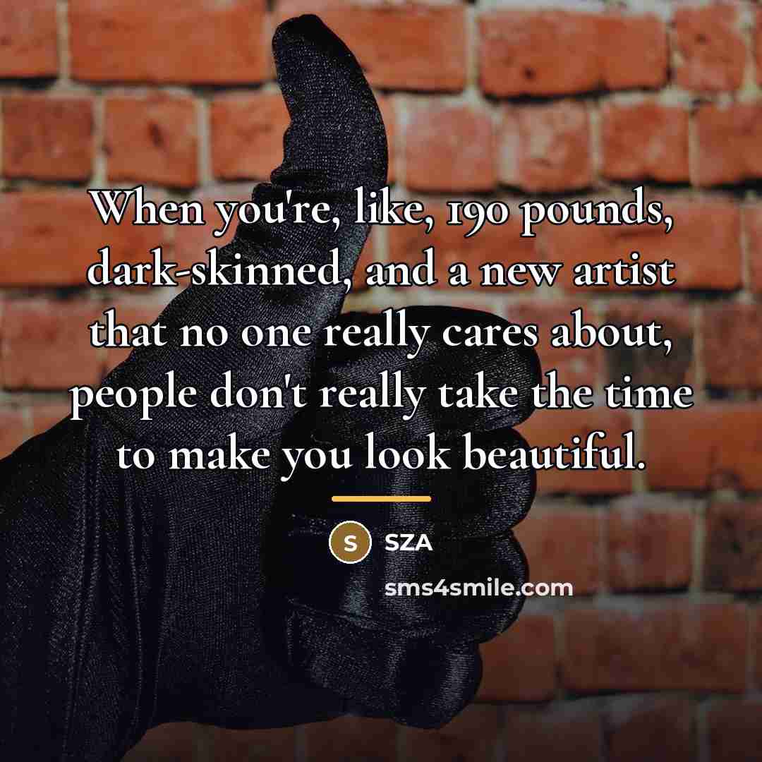 “When you're, like, 190 pounds, dark-skinned, and a new artist…” quote by SZA