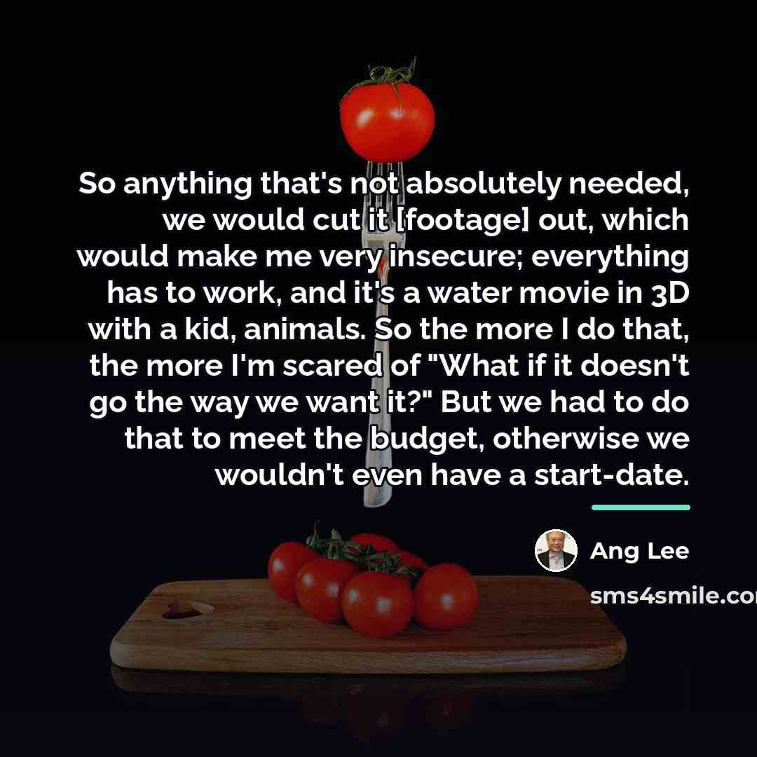 “So anything that's not absolutely needed, we would cut it…” quote by Ang Lee