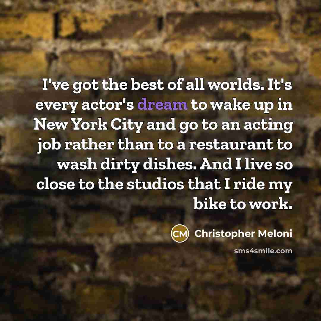 “I've got the best of all worlds. It's every actor's…” quote by Christopher Meloni
