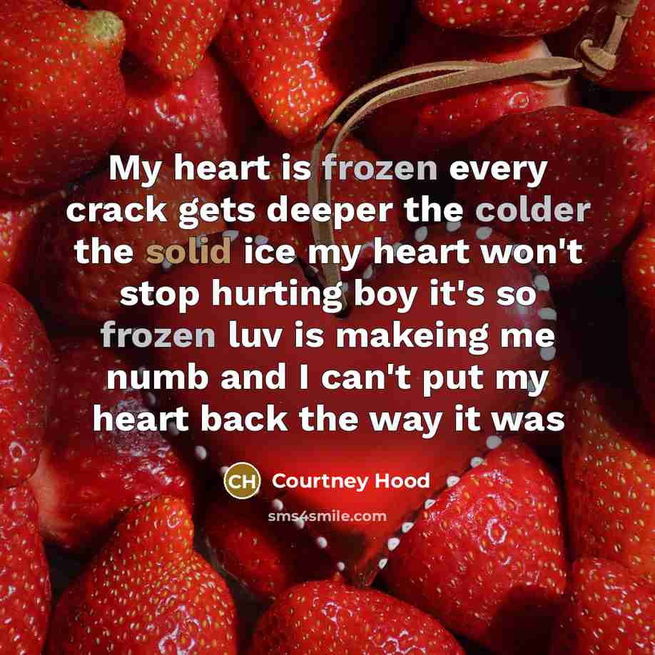 “My heart is frozen every crack gets deeper the colder…” quote by Courtney Hood