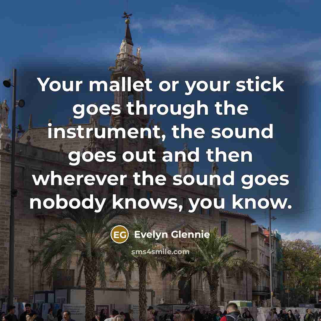 “Your mallet or your stick goes through the instrument, the…” quote by Evelyn Glennie