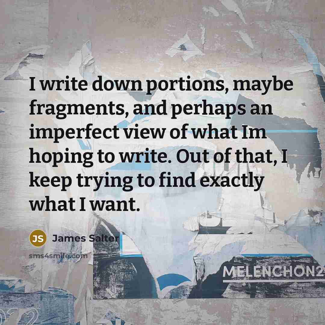 “I write down portions, maybe fragments, and perhaps an imperfect…” quote by James Salter