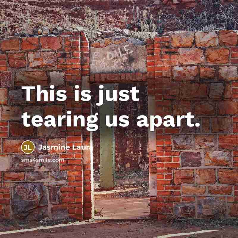 “This is just tearing us apart.…” quote by Jasmine Laura