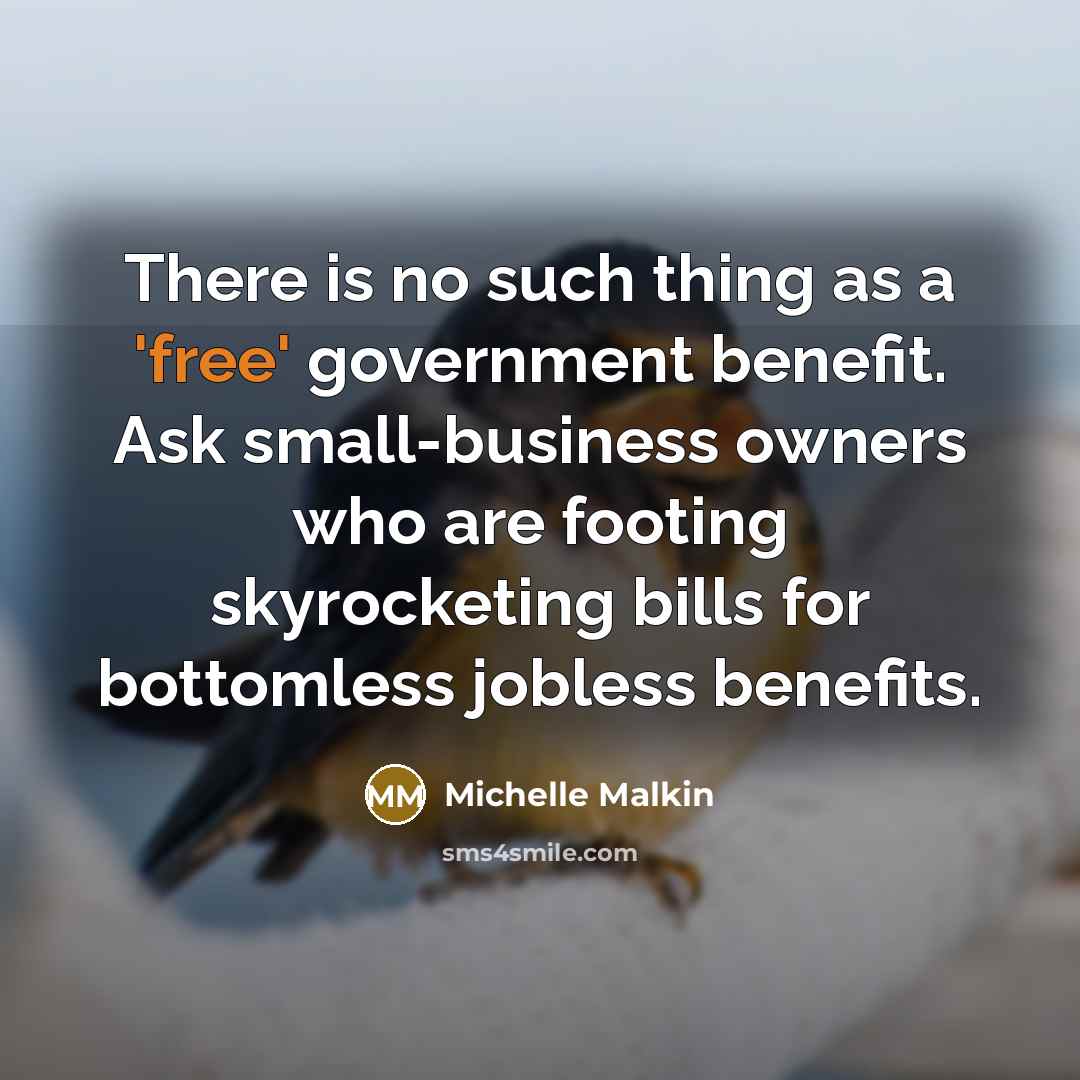 “There is no such thing as a 'free' government benefit.…” quote by Michelle Malkin